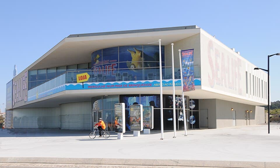 Kids activities at SEA LIFE Centre Porto Porto — family travel photo
